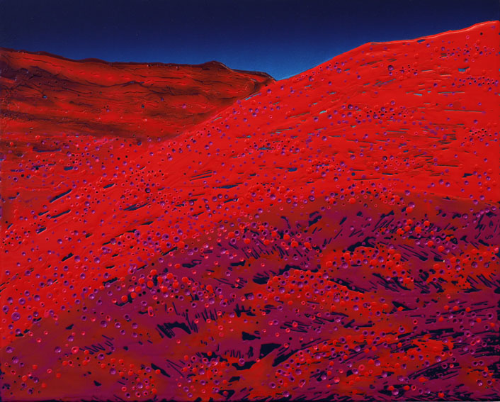 PAN Amsterdam 24.11 - 1.12, Stand Jan van Hoof Galerie