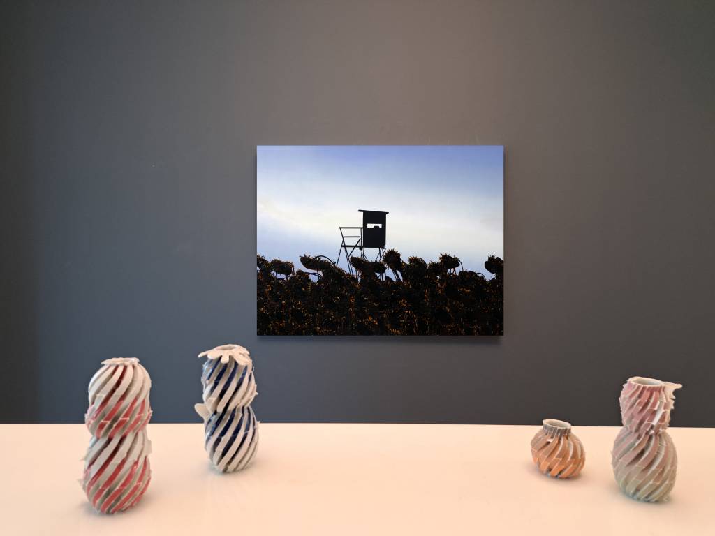 Kleur is de verwondering van het licht - Jan van Hoof Galerie 2024